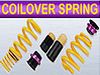 KW COILOVER SPRING